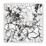 White Crusts